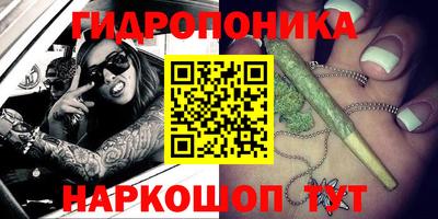 винт Славгород