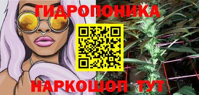 винт Славгород