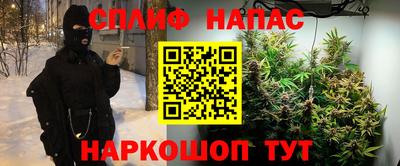 МДПВ Славянск-на-Кубани