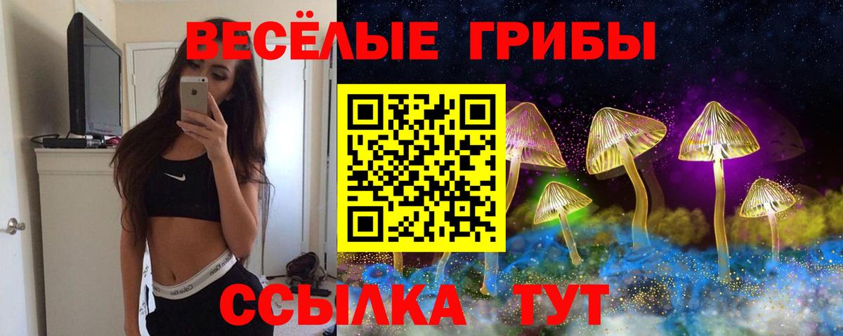 Псилоцибиновые грибы мухоморы  Вход с VPN  Мценск 